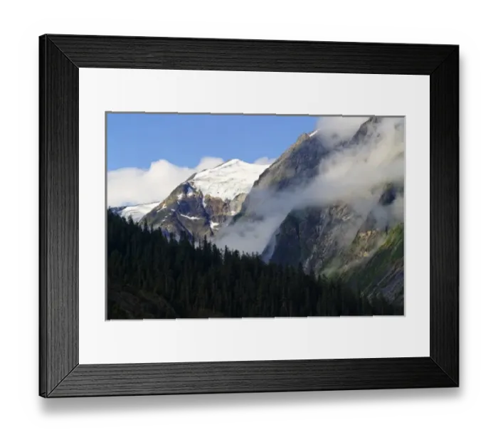 Framed Print : USA, Alaska, Tracey Arm. View of forest and steep mountains