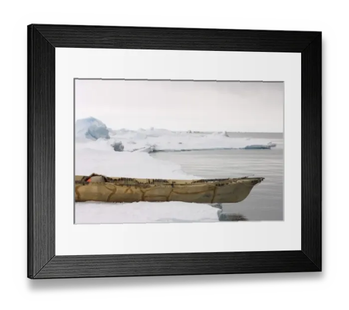 Framed Print : skin boat on the edge of a lead in the frozen Chuckchi Sea, off Point Barrow, Arctic Alaska Framed Print : skin boat on the edge of a lead in the frozen Chuckchi Sea, off Point Barrow, Arctic Alaska