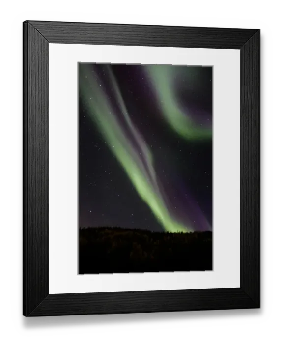 Framed Print : USA. Alaska. The aurora borealis dances in the night sky over Denali NP with hues of green Framed Print : USA. Alaska. The aurora borealis dances in the night sky over Denali NP with hues of green