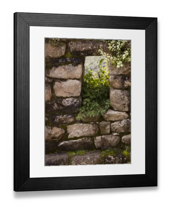 Framed Print : South America, Peru, Machu Picchu. Plants take root in a stone window. (UNESCO World Framed Print : South America, Peru, Machu Picchu. Plants take root in a stone window. (UNESCO World