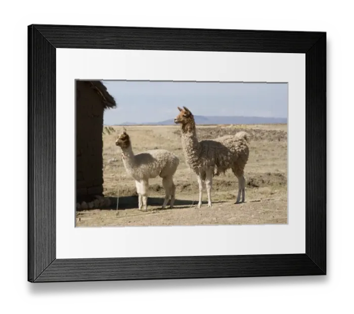 Framed Print : South America, Peru Framed Print : South America, Peru