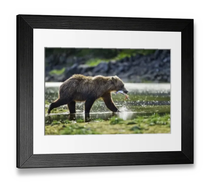 Framed Print : USA, North America, Alaska Framed Print : USA, North America, Alaska