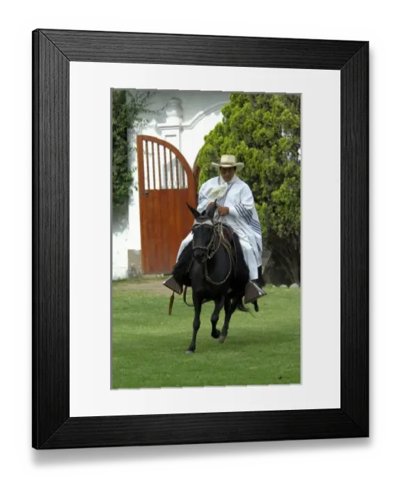 Framed Print : South America, Peru, Lima. Historic Peruvian Paso horse ranch, Chacra Tres Canas