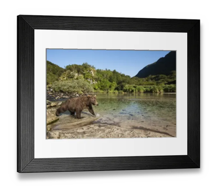 Framed Print : USA, North America, Alaska Framed Print : USA, North America, Alaska