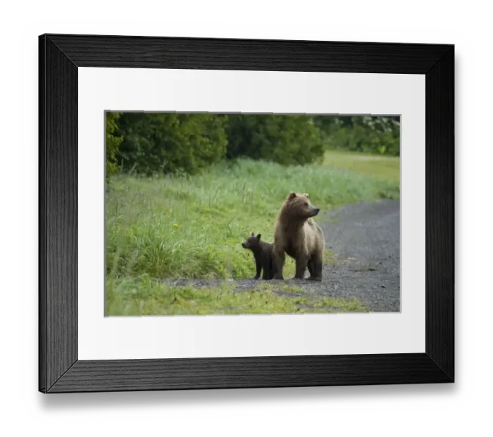 Framed Print : USA, North America, Alaska Framed Print : USA, North America, Alaska