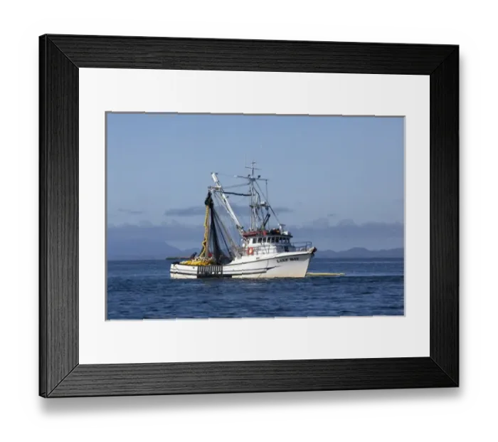 Framed Print : USA, Alaska, Southeast near Ketchikan, seine boats salmon fishing