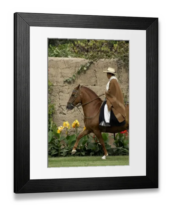 Framed Print : South America, Peru Framed Print : South America, Peru