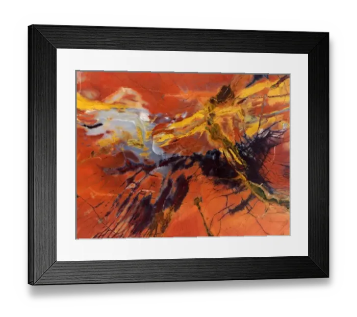 Framed Print : USA, Arizona. Close-up of petrified wood Framed Print : USA, Arizona. Close-up of petrified wood