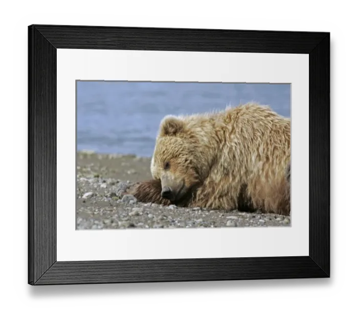 Framed Print : USA, North America, Alaska