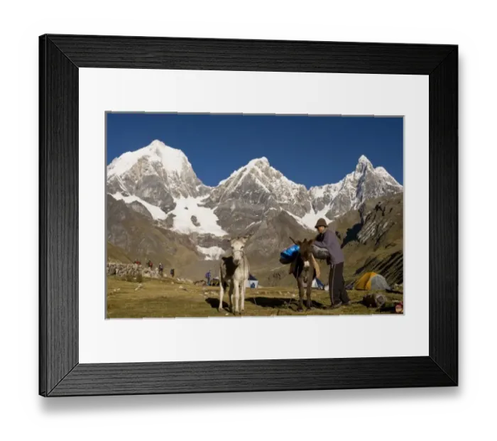 Framed Print : Cowboy packing mules at Lake Carhuacocha; Siula Grande, Mount Yerupaja and Jirishanca in background