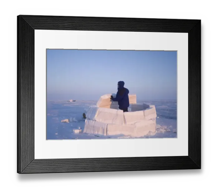 Framed Print : inupiat guide Bruce Inglangasak building an igloo snow blind, along the Arctic coast Framed Print : inupiat guide Bruce Inglangasak building an igloo snow blind, along the Arctic coast