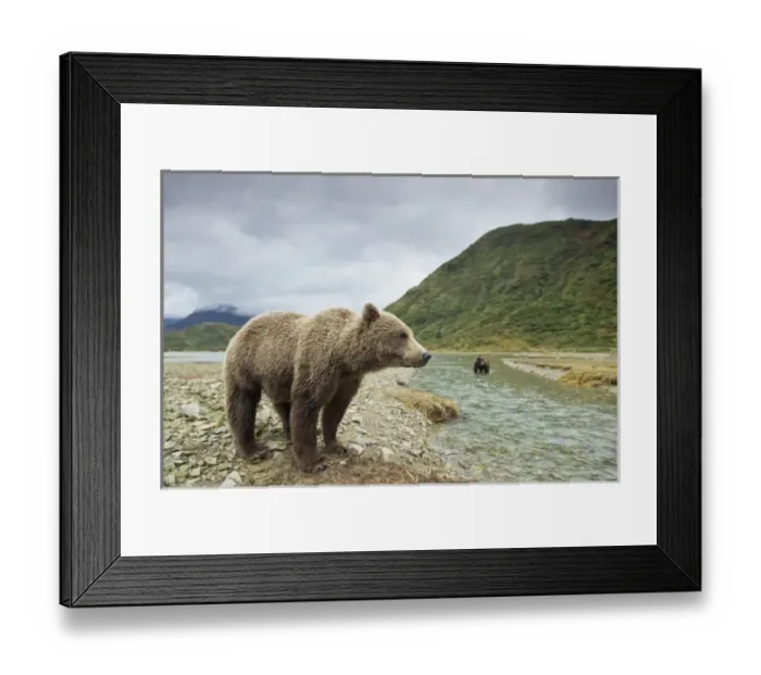 Framed Print : USA, North America, Alaska