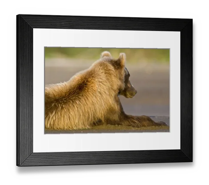 Framed Print : USA, North America, Alaska