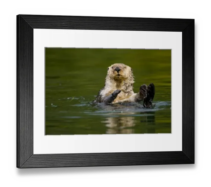 Framed Print : USA, North America, Alaska