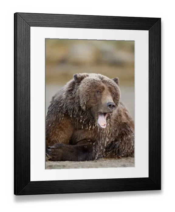 Framed Print : USA, North America, Alaska