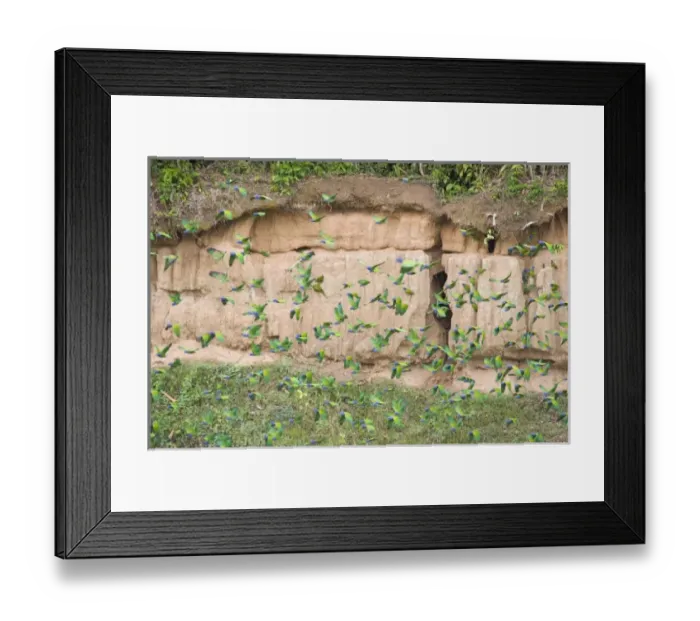 Framed Print : South America, Peru Framed Print : South America, Peru