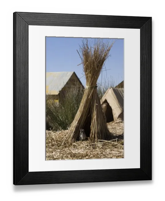 Framed Print : South America, Peru