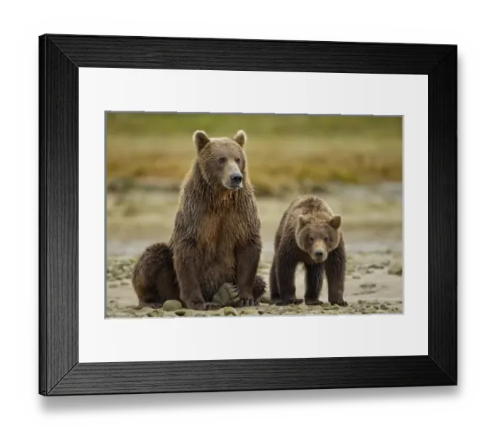 Framed Print : USA, North America, Alaska Framed Print : USA, North America, Alaska