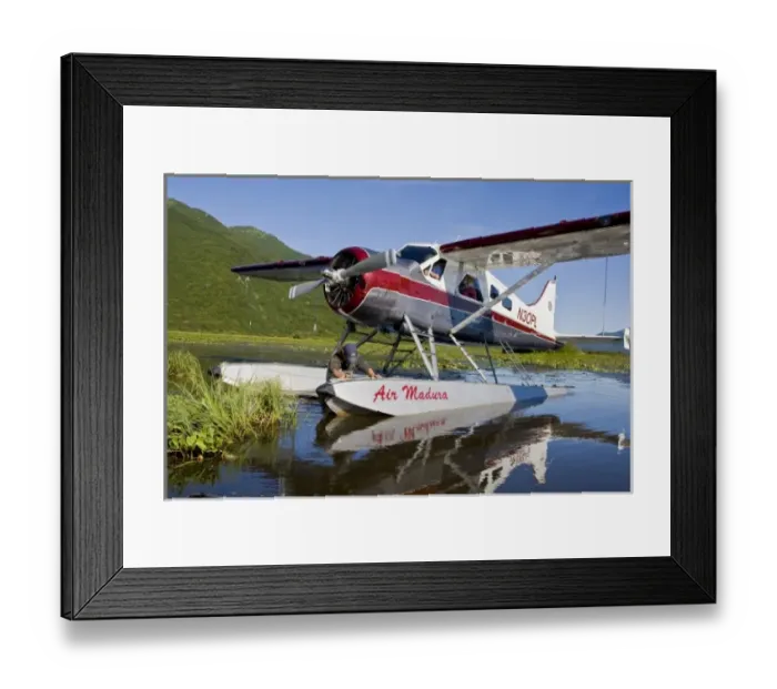 Framed Print : USA. Alaska. A Beaver lands at Silver Salmon Creek in Lake Clark NP Framed Print : USA. Alaska. A Beaver lands at Silver Salmon Creek in Lake Clark NP