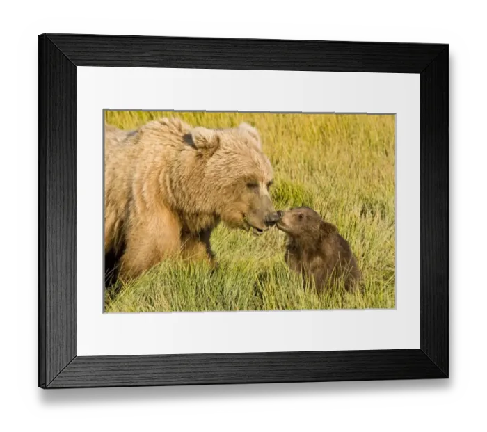 Framed Print : USA, North America, Alaska Framed Print : USA, North America, Alaska