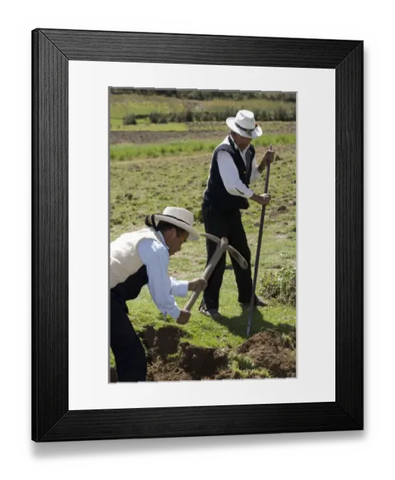 Framed Print : South America, Peru Framed Print : South America, Peru