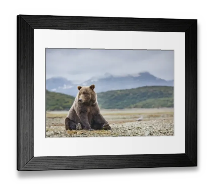 Framed Print : USA, North America, Alaska