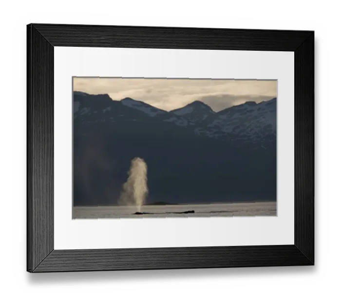 Framed Print : USA, North America, Alaska