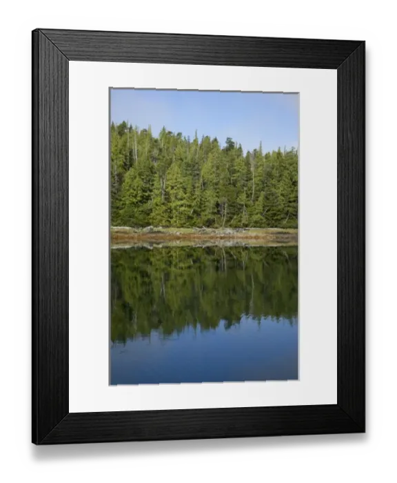 Framed Print : USA, Alaska. Outside of Ketchikan in Southeastern Alaska