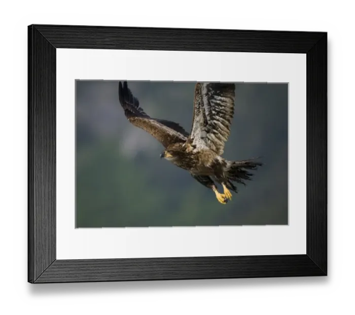 Framed Print : USA, North America, Alaska Framed Print : USA, North America, Alaska