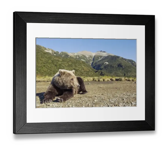 Framed Print : USA, North America, Alaska Framed Print : USA, North America, Alaska