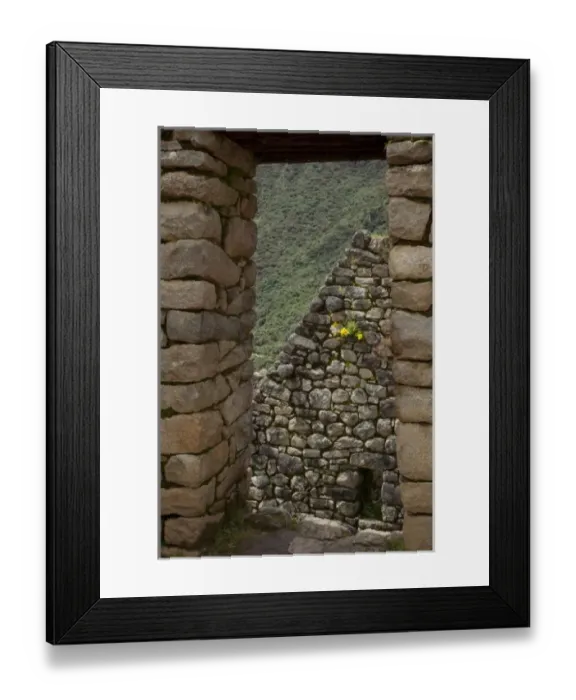 Framed Print : South America, Peru, Machu Picchu. Yellow flowers seen through a stone window take