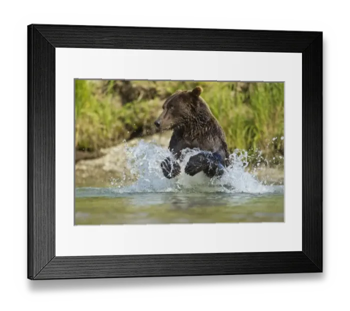 Framed Print : USA, North America, Alaska Framed Print : USA, North America, Alaska