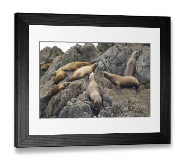 Framed Print : USA, North America, Alaska Framed Print : USA, North America, Alaska