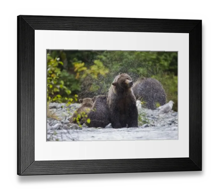 Framed Print : USA, North America, Alaska Framed Print : USA, North America, Alaska
