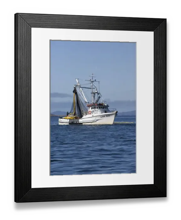 Framed Print : USA, Alaska, Southeast near Ketchikan, seine boats salmon fishing Framed Print : USA, Alaska, Southeast near Ketchikan, seine boats salmon fishing