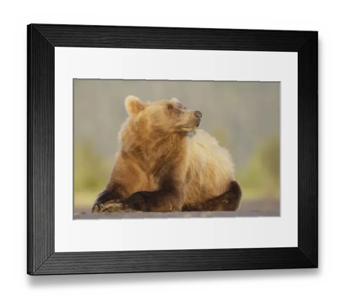 Framed Print : USA, North America, Alaska