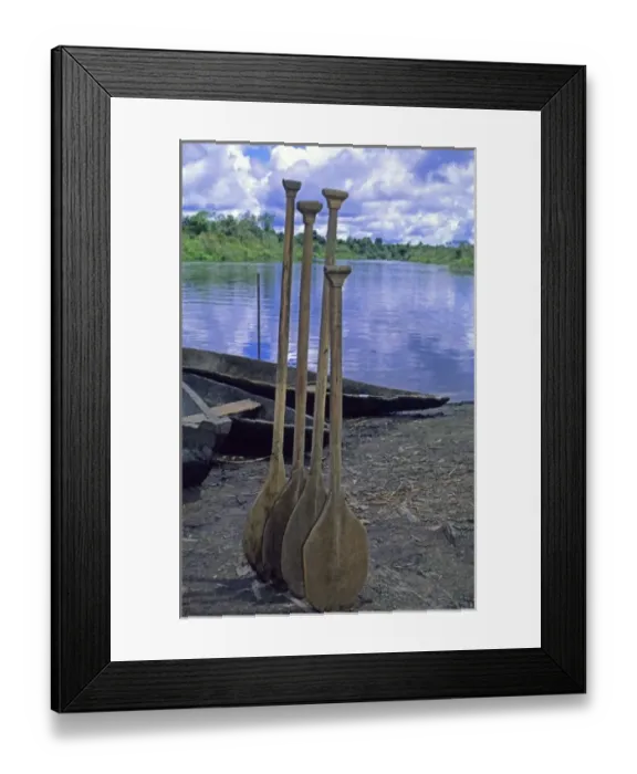 Framed Print : South America, Peru, Amazon River. Canoe Oars Framed Print : South America, Peru, Amazon River. Canoe Oars
