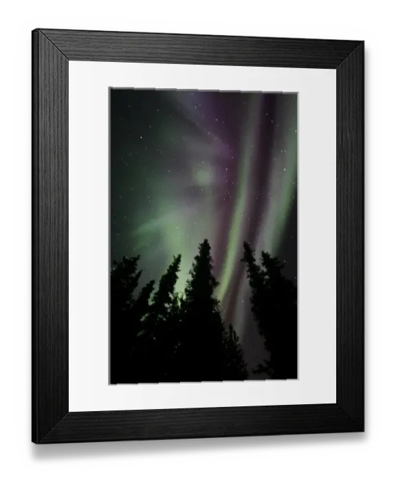 Framed Print : USA. Alaska. The aurora borealis dances in the night sky over Denali NP with hues of green Framed Print : USA. Alaska. The aurora borealis dances in the night sky over Denali NP with hues of green