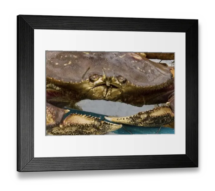 Framed Print : USA, North America, Alaska Framed Print : USA, North America, Alaska