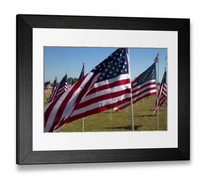Framed Print : United States flags on display in honor of Veterans Dat at Battleship Memorial Park Framed Print : United States flags on display in honor of Veterans Dat at Battleship Memorial Park