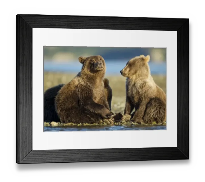 Framed Print : USA, North America, Alaska