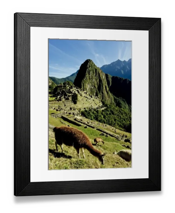 Framed Print : South America, Peru Framed Print : South America, Peru