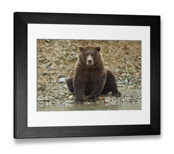 Framed Print : USA, North America, Alaska Framed Print : USA, North America, Alaska