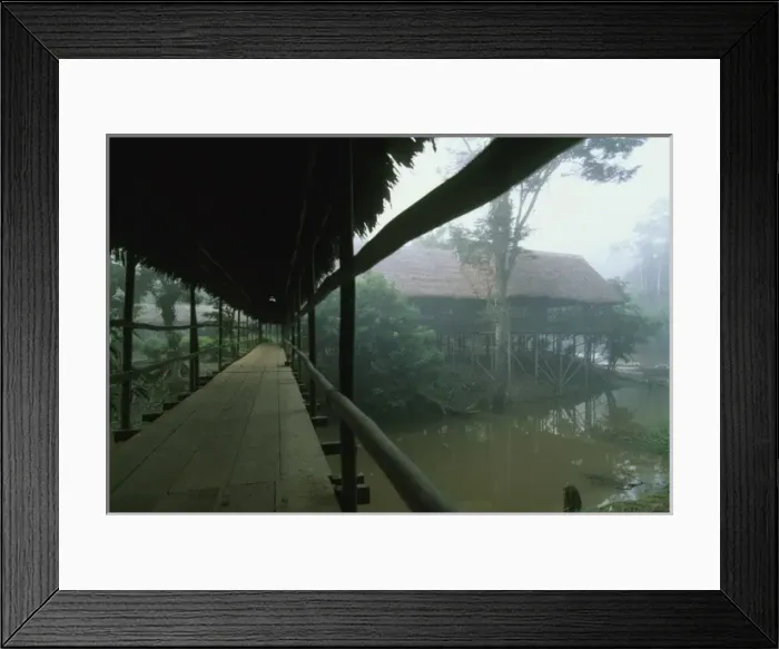Framed Print : Peru, Amazonia, near Iquitos, Explorama Lodge on river