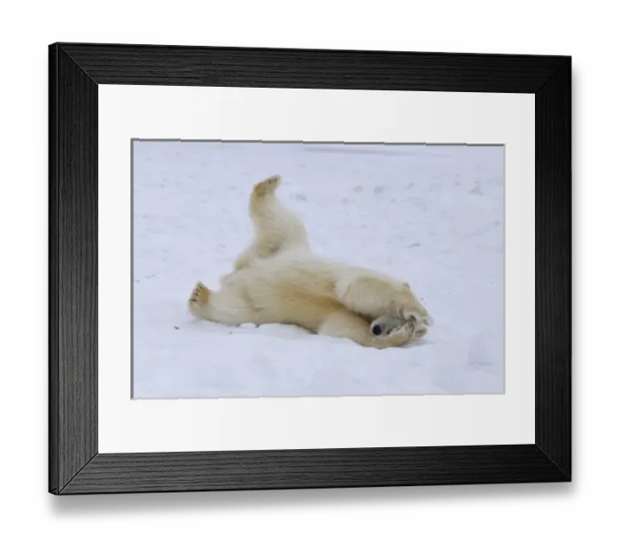 Framed Print : USA, North America, Alaska