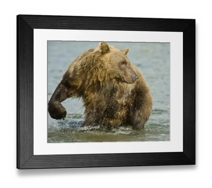 Framed Print : USA, North America, Alaska Framed Print : USA, North America, Alaska