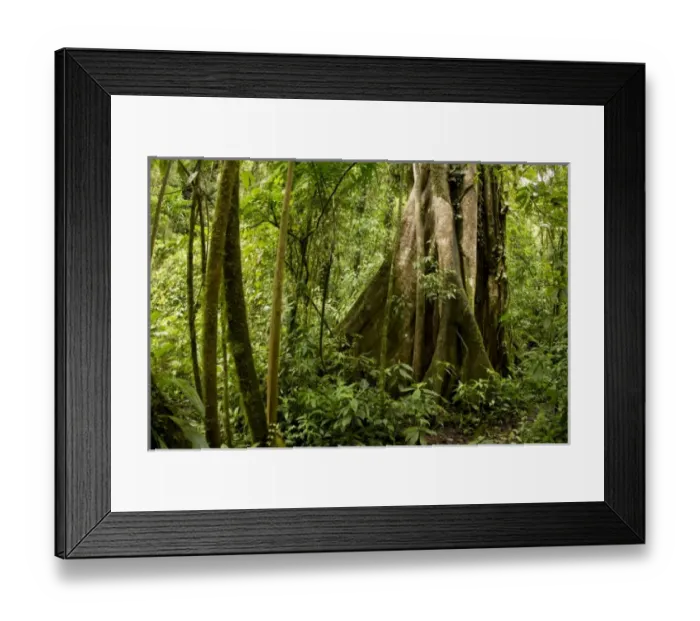 Framed Print : Central America, Costa Rica Framed Print : Central America, Costa Rica