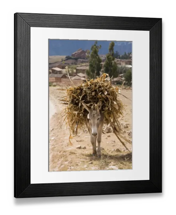 Framed Print : South America, Peru Framed Print : South America, Peru
