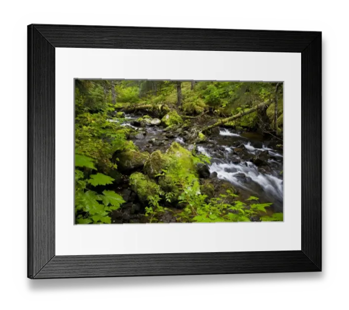 Framed Print : USA, North America, Alaska