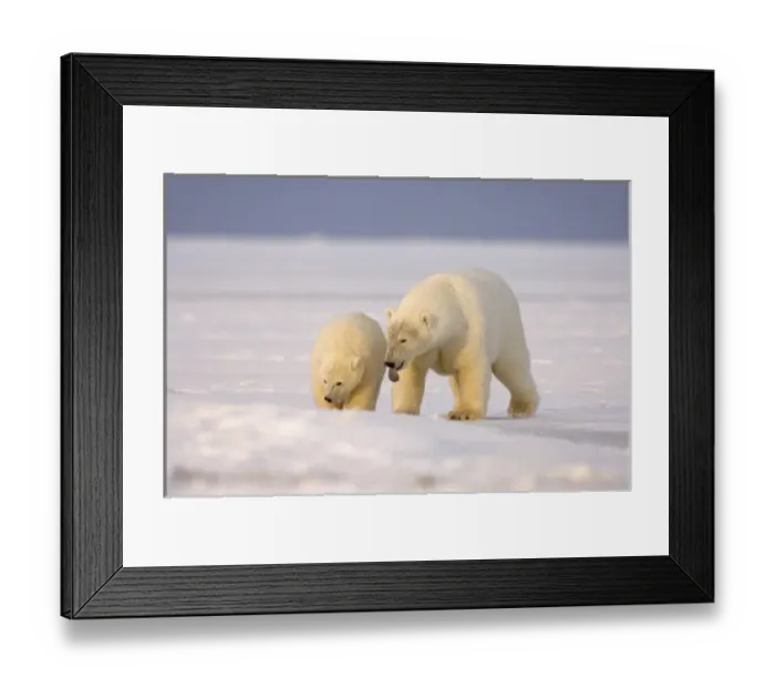 Framed Print : USA, North America, Alaska Framed Print : USA, North America, Alaska